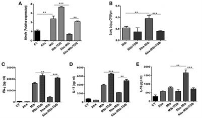 Gut Microbiota Regulates Mincle Mediated Activation of Lung Dendritic Cells to Protect Against Mycobacterium tuberculosis